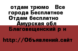 отдам трюмо - Все города Бесплатное » Отдам бесплатно   . Амурская обл.,Благовещенский р-н